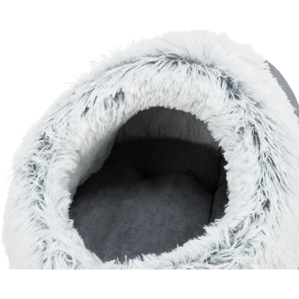 Wp Image38832674046200.png