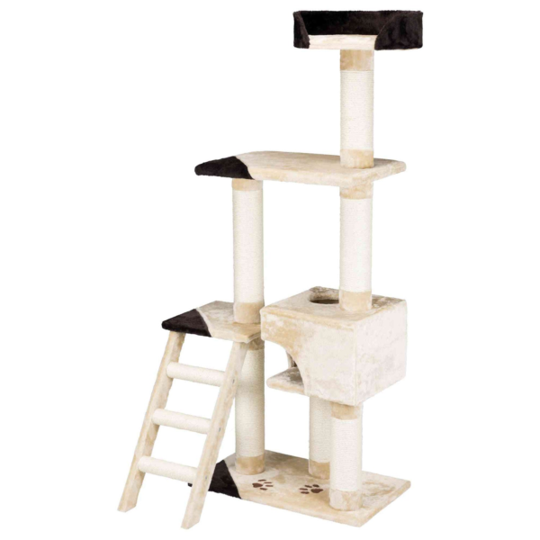 Wp Image38933059436792.png