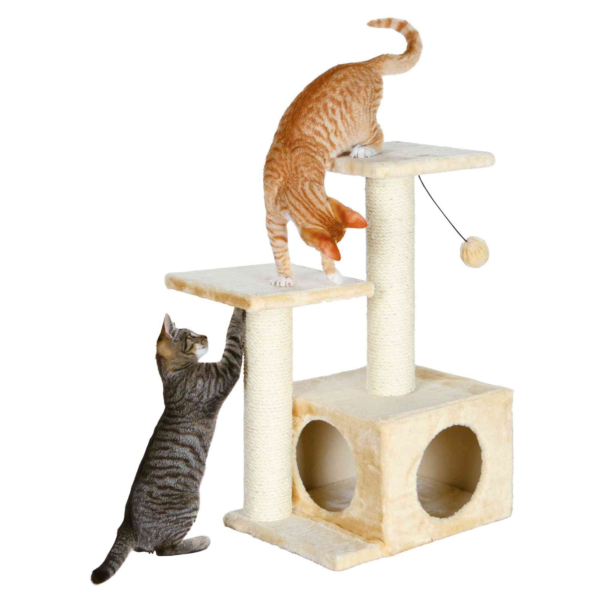 Rascador gatos Valencia