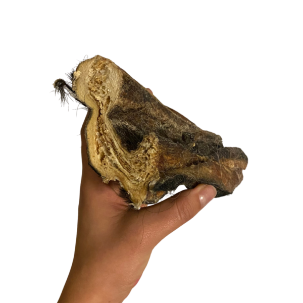 Wp Image39009165181176.png