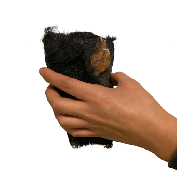 Wp Image39009165213944.png