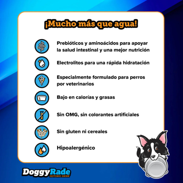 Wp Image39055516565752.png