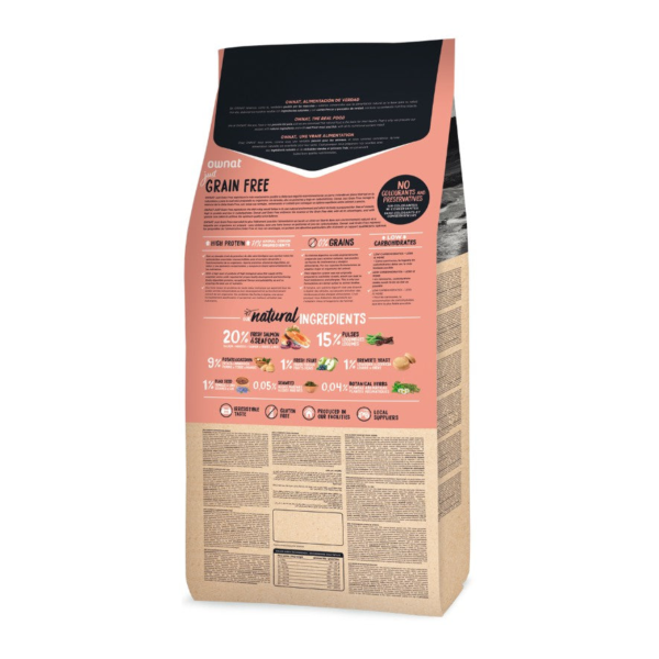 Wp Image48906770219352.png