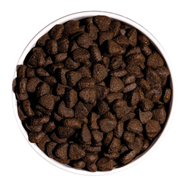 Wp Image48906770776408.png
