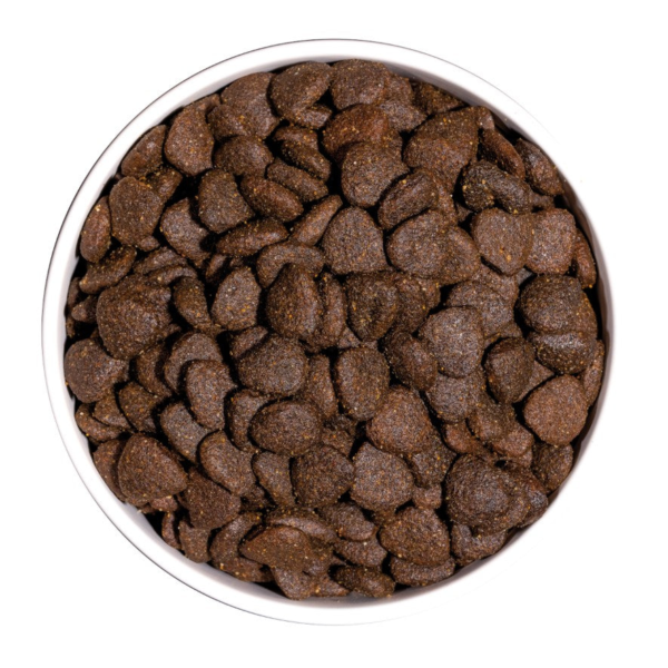 Wp Image48916572668248.png