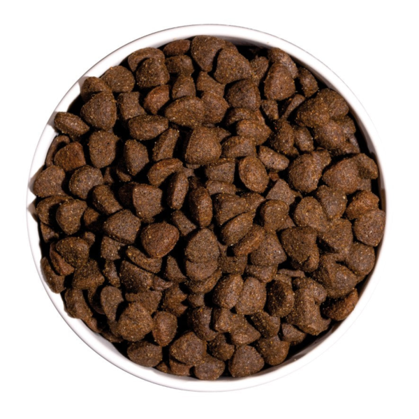 Wp Image48917076050264.png