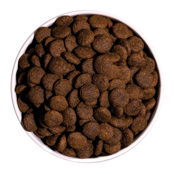 Wp Image48928156483928.png