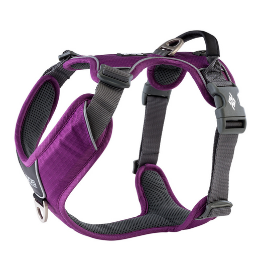 Dog Copenhagen - Arnés Comfort Walk Pro V3