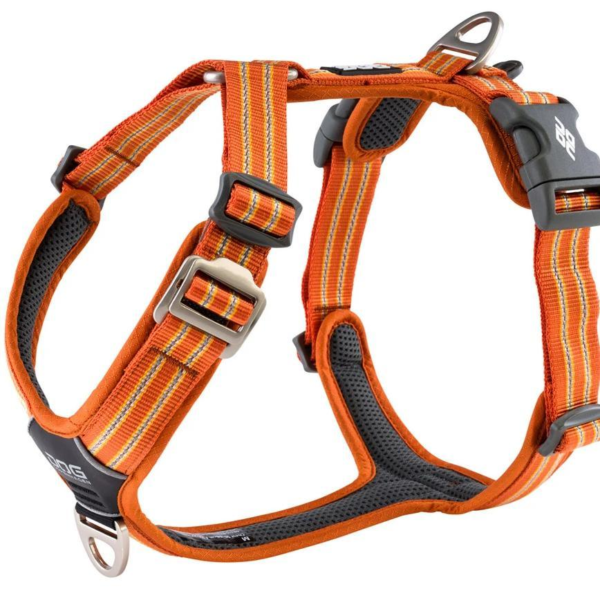 Dog Copenhagen - Arnés Comfort Walk Air V3