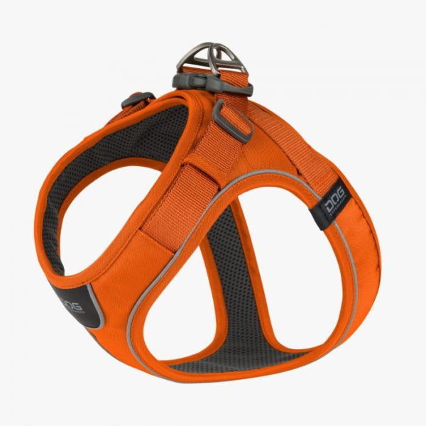 Wp Image49070879146328.png