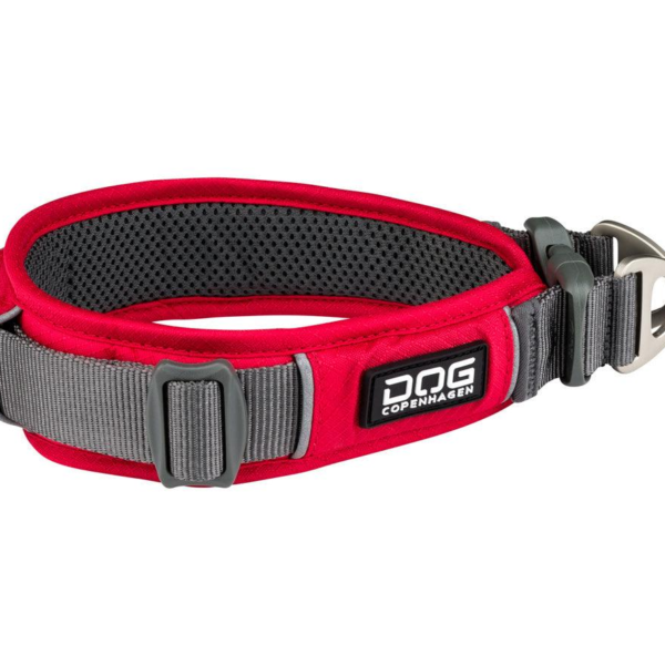 Wp Image49079714185560.png