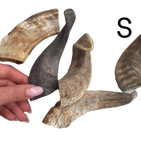 Wp Image50213486952792.png
