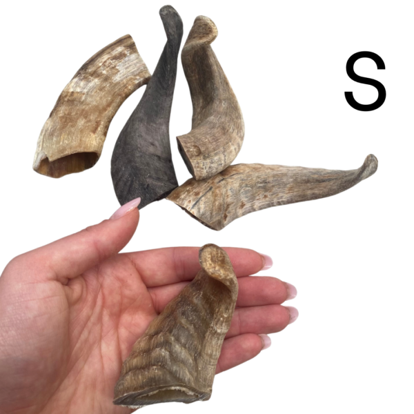Wp Image50213487083864.png