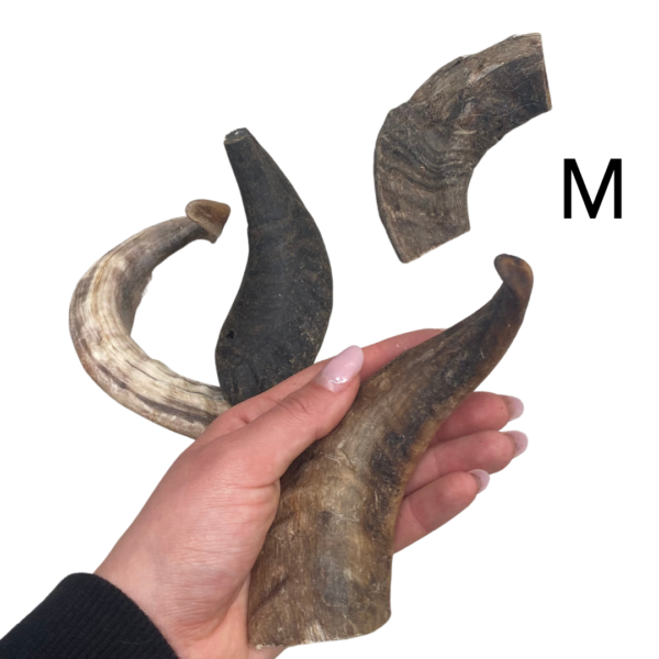 Wp Image50213487182168.png