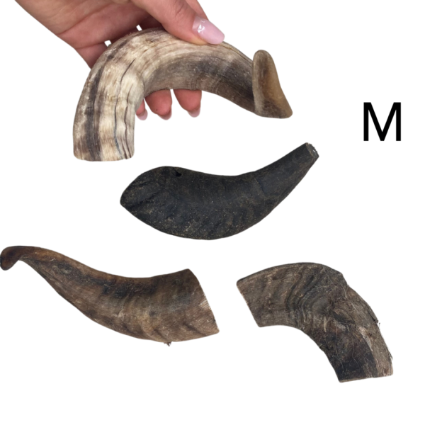 Wp Image50213487575384.png