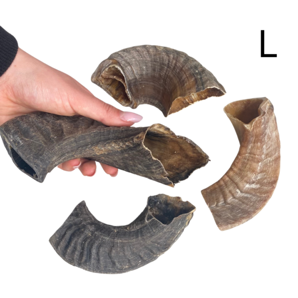Wp Image50213488787800.png