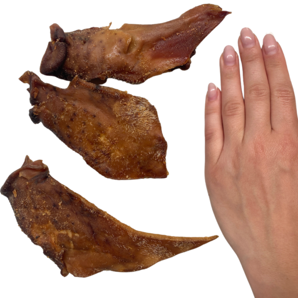 Wp Image50609326752088.png