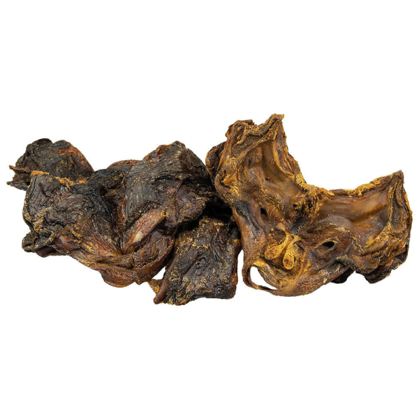 Cartílago de columna vertebral de caballo