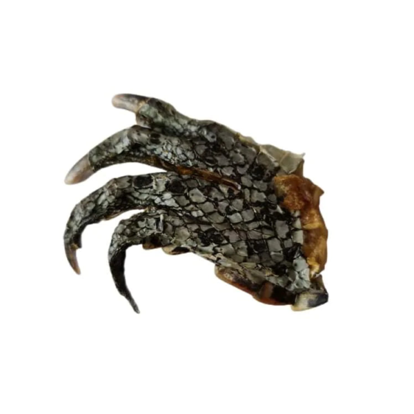 Wp Image51910878363992.png
