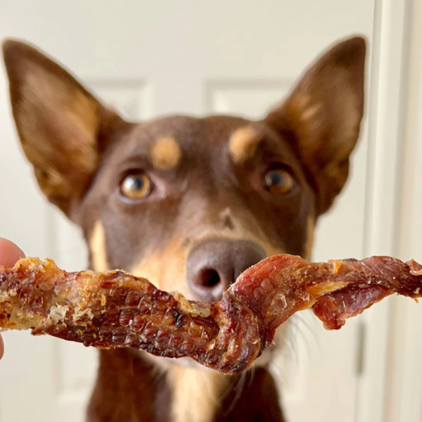 Cecina de cocodrilo