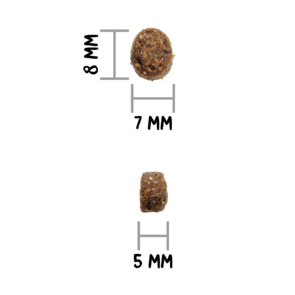 Wp Image51950523482456.png