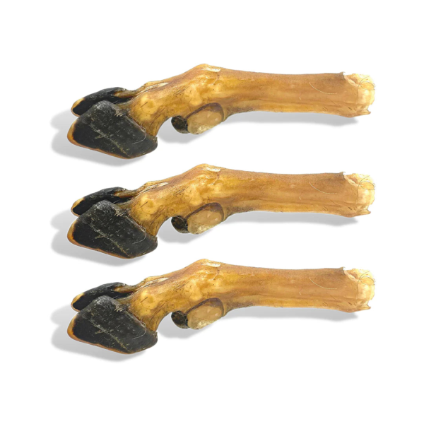 Wp Image51965252600152.png