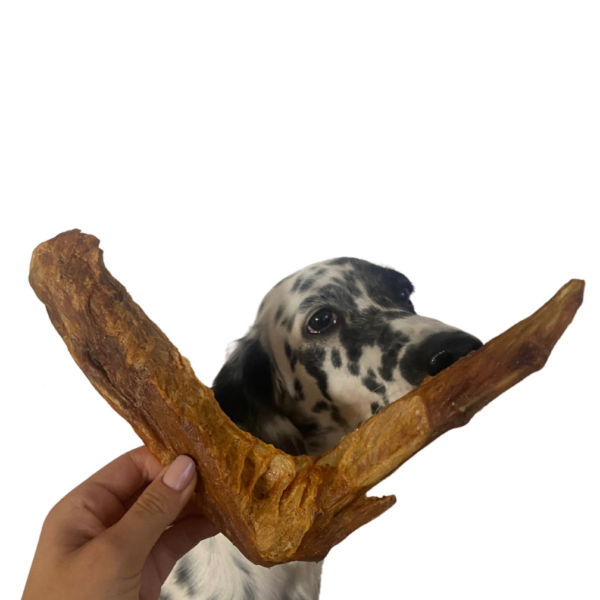 Wp Image52205432275288.png