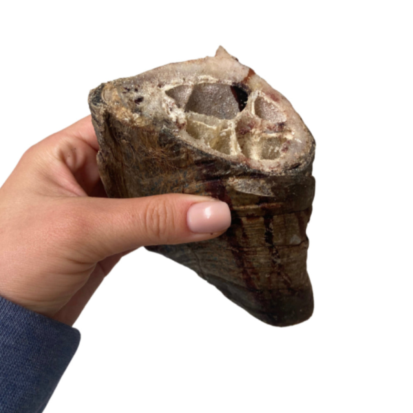 Wp Image52232341717336.png
