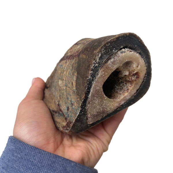 Wp Image52232341750104.png