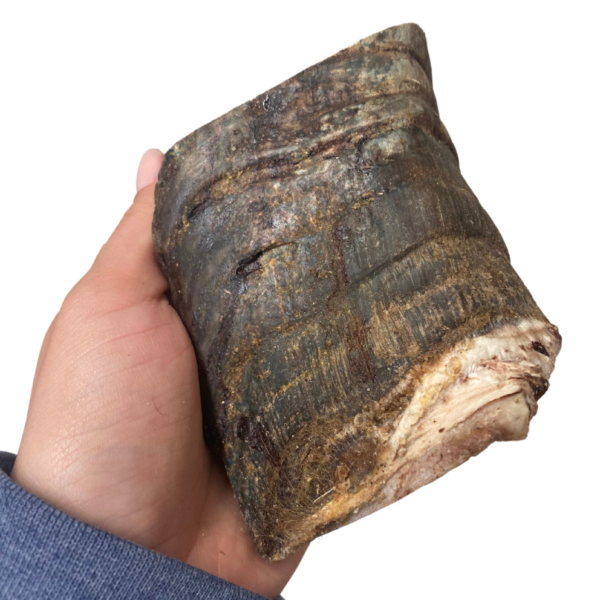 Wp Image52232341782872.png