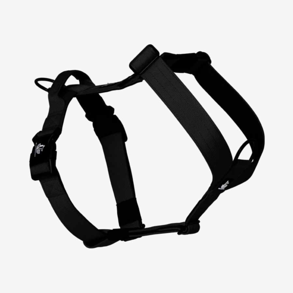 Arnés Black Diamond - Wildtopdogs