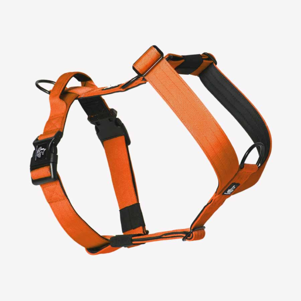 Arnés Orange Flame - Wildtopdogs