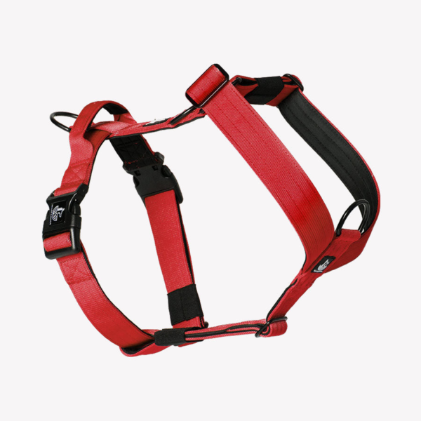 Arnés Red Wine - Wildtopdogs