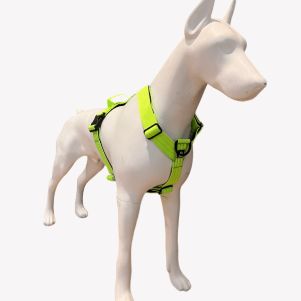 Wp Image52331159781720.png