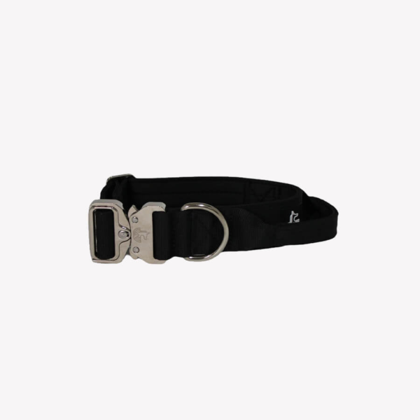 Collar Black Diamond 4cm - WILDTOPDOGS