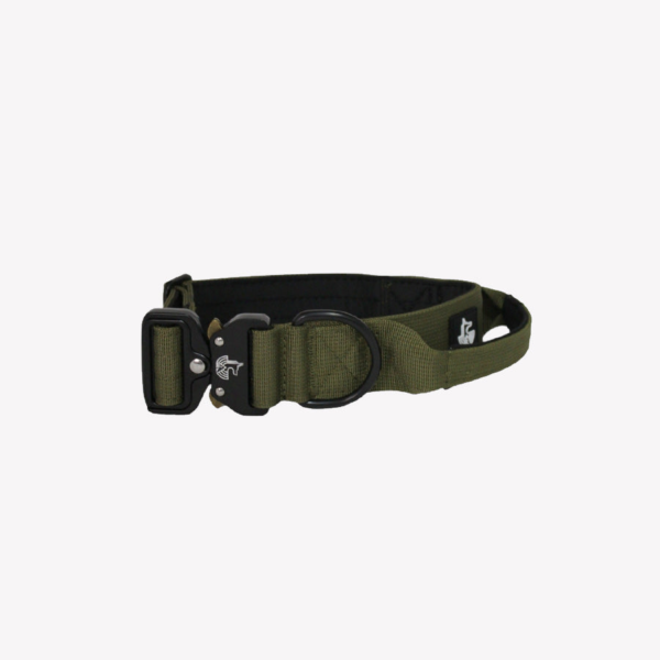 Collar Green Forest 4cm - WILDTOPDOGS