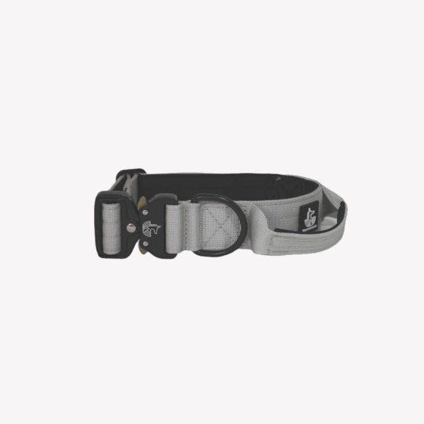 Collar Grey 4cm - WILDTOPDOGS