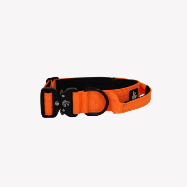 Collar Orange Flame 4cm - WILDTOPDOGS