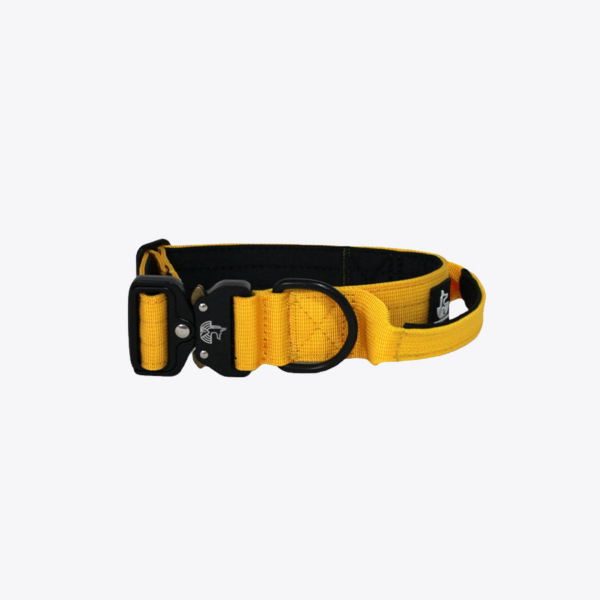 Collar Yellow Mustard 4cm - WILDTOPDOGS