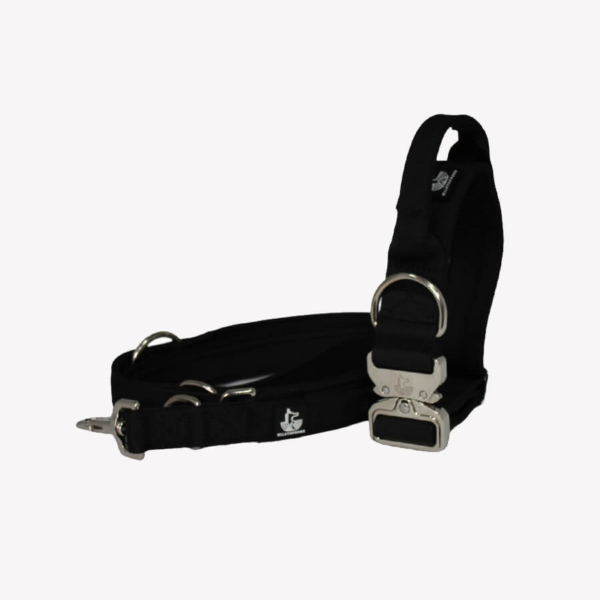 Pack Collar Correa Black Diamond Wildtopdogs