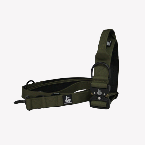 Pack Collar Correa Green Forest Wildtopdogs