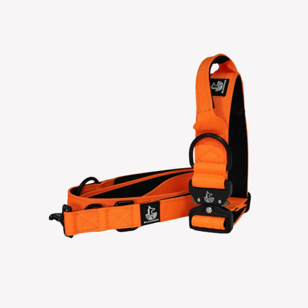 Pack Collar Correa Orange Flame WildTopDogs