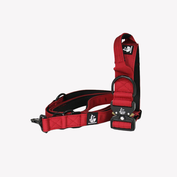 Pack Collar Correa Red Wine Wildtopdogs