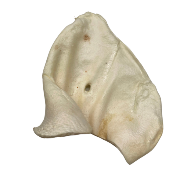 Wp Image52350188650840.png