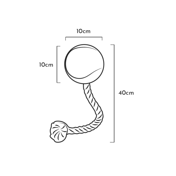 Wp Image53340978774360.png
