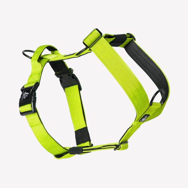 Arnés Neon - Wildtopdogs