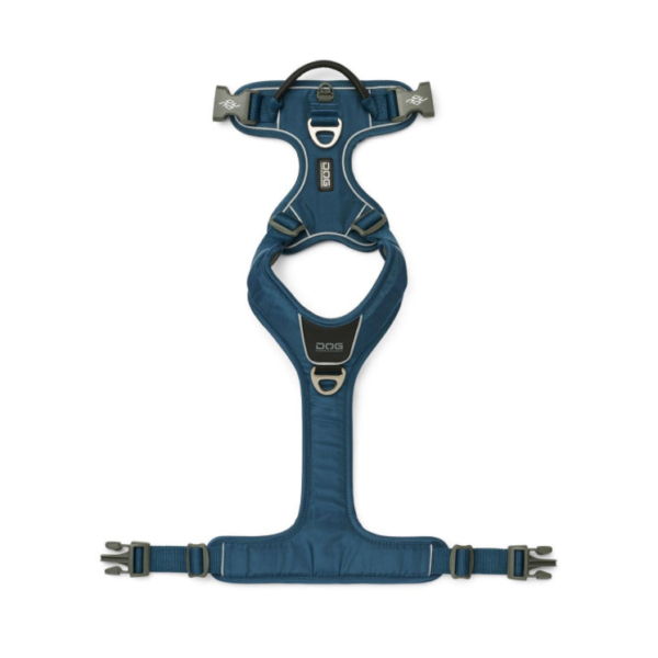 Wp Image53591105110360.png