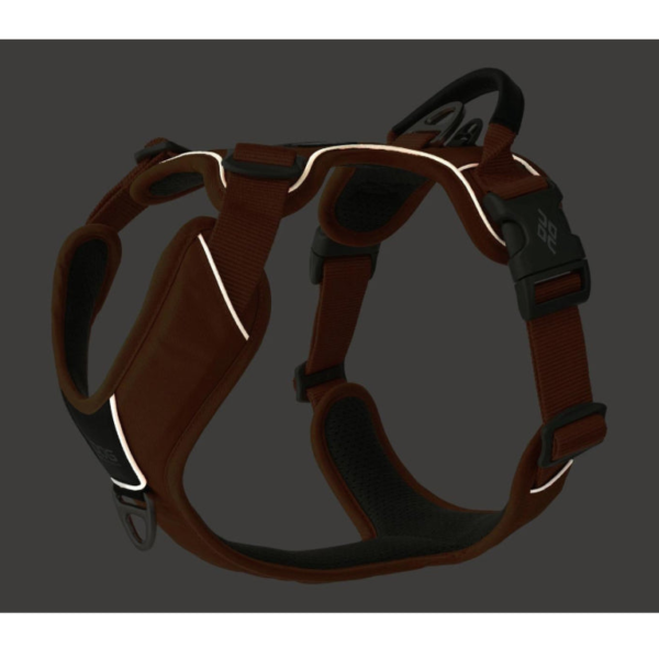 Wp Image53591105143128.png