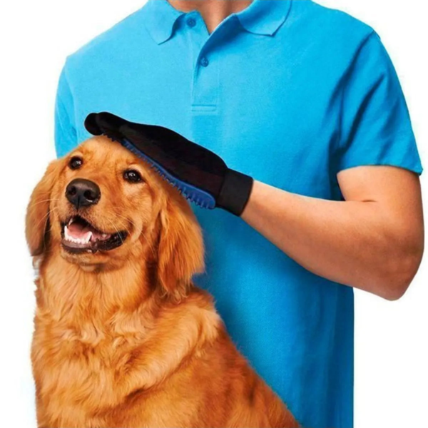 Wp Image54024038908248.png