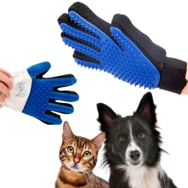 Wp Image54024038973784.png